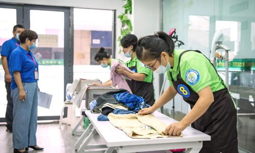 以信用機制驅(qū)動家政服務(wù)提質(zhì)擴容——構(gòu)建分級分類監(jiān)管新格局