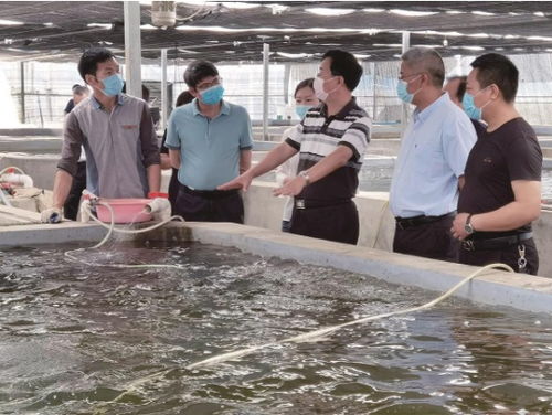 湖北省特殊之年 水產(chǎn)大省的特殊答卷及會議展覽服務(wù)